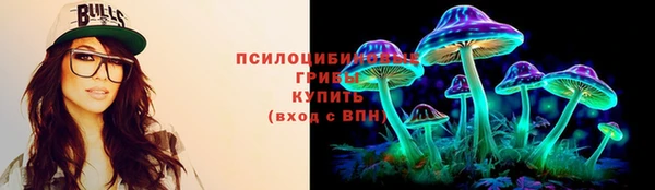 apvp Армянск