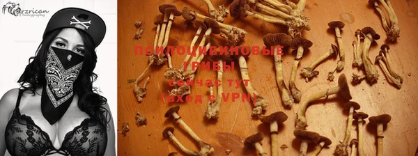 СК Майский