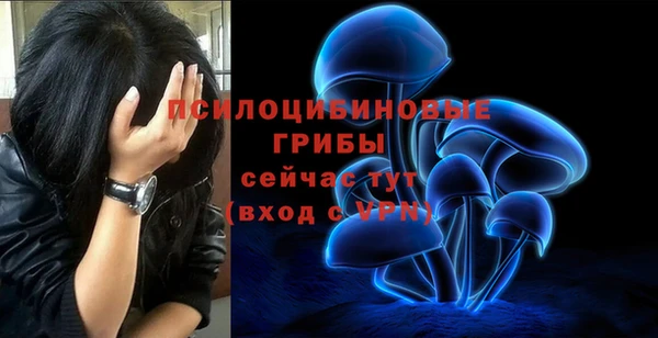 apvp Армянск